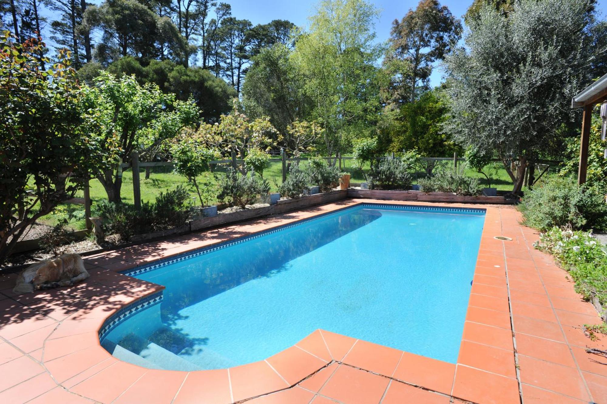 Lavender Farm Healesville